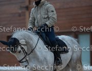 Berlin Tosc Tour2013- S5 1821 : Arezzo, Berlin, Cavalli d'Italia, Toscana Tour 2013, foto di Stefano Secchi ©